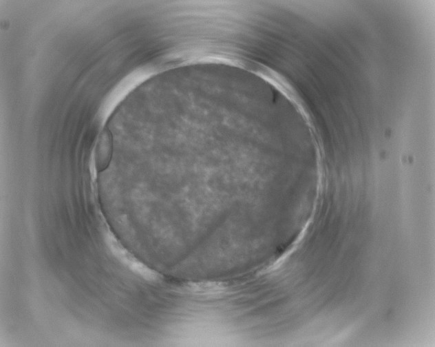 X0000052651198200507221833