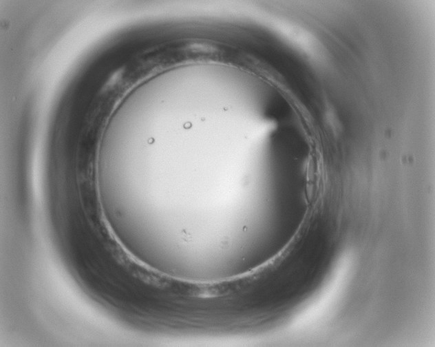 X0000052651199200507221833