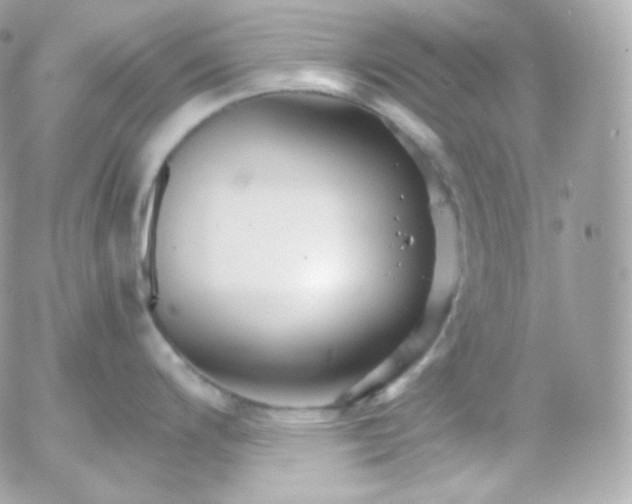 X0000052651200200507221833