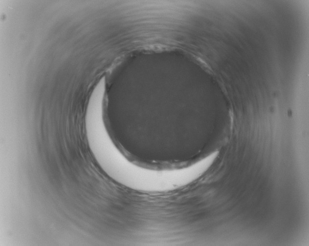 X0000052651202200507221833