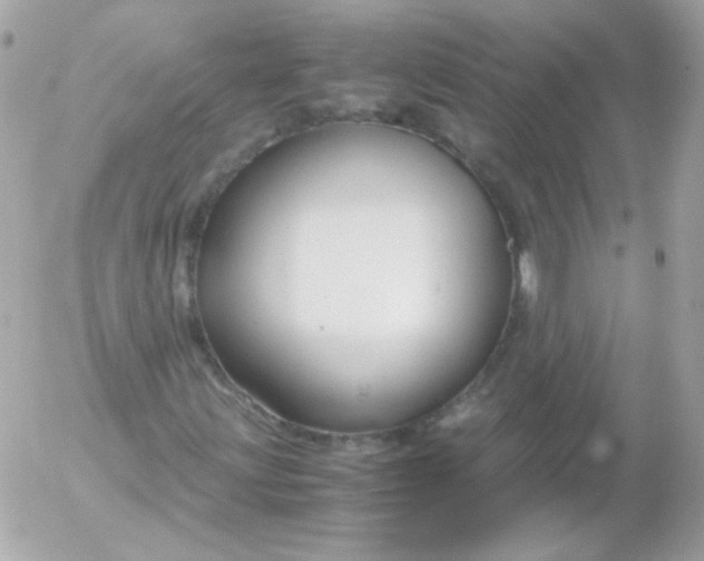 X0000052651203200507221833