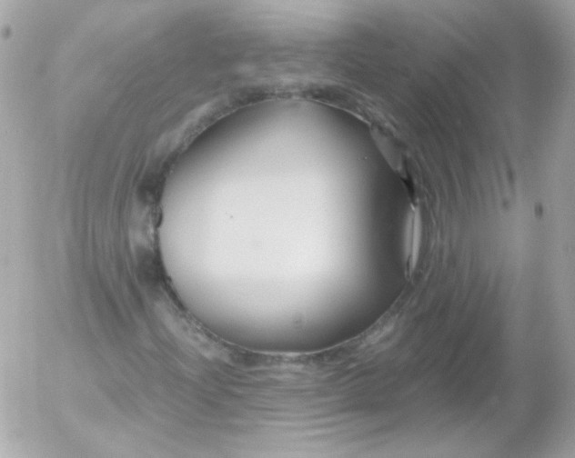 X0000052651204200507221833