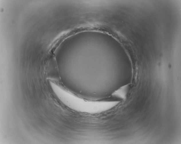 X0000052651206200507221833