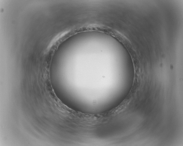 X0000052651207200507221833