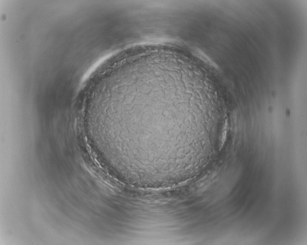 X0000052651208200507221833