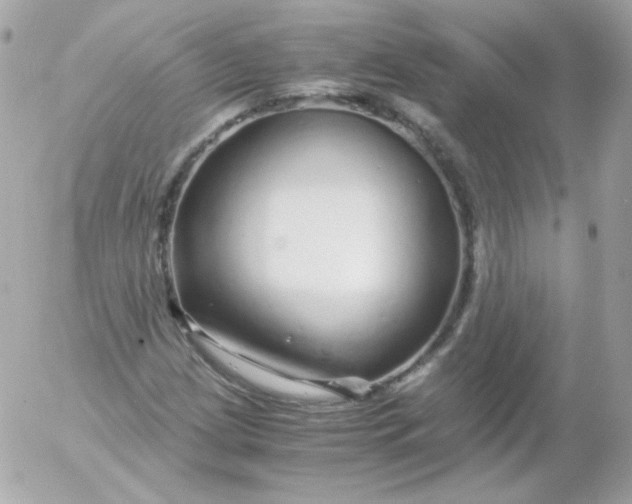 X0000052651209200507221833