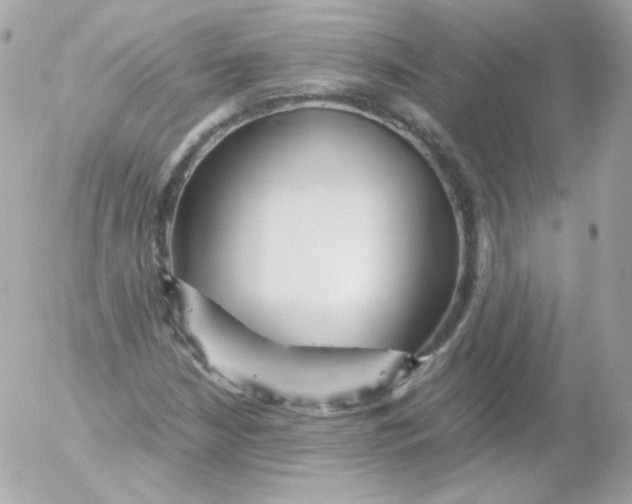 X0000052651210200507221833