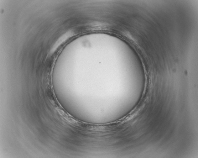 X0000052651211200507221833