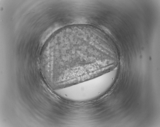 X0000052651212200507221833