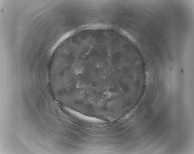 X0000052651213200507221833