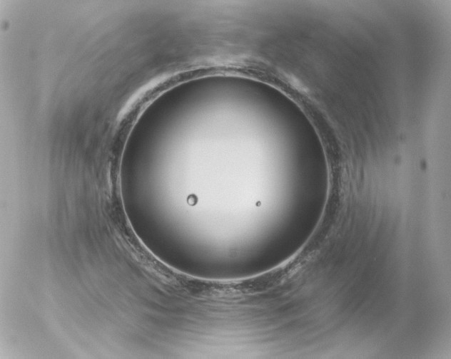 X0000052651214200507221833