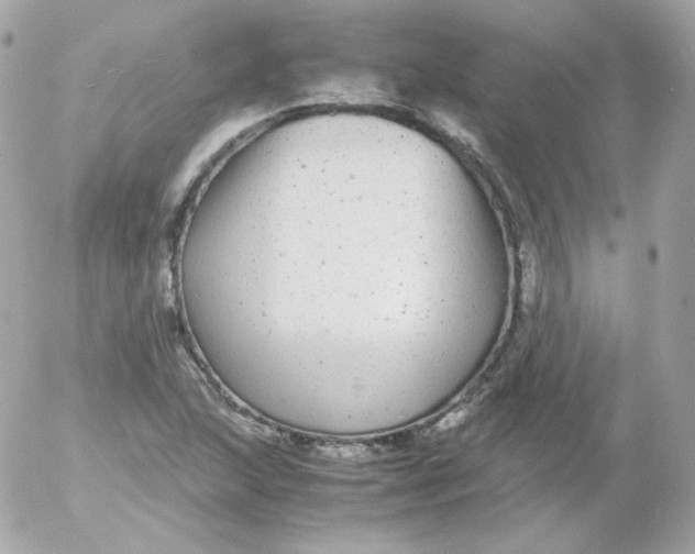 X0000052651215200507221833