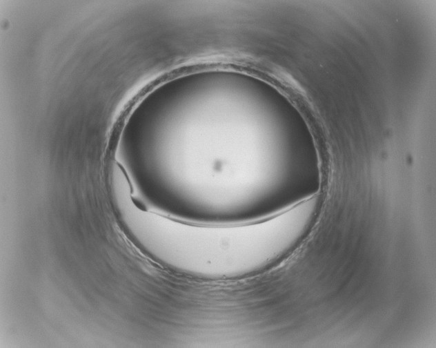 X0000052651216200507221833