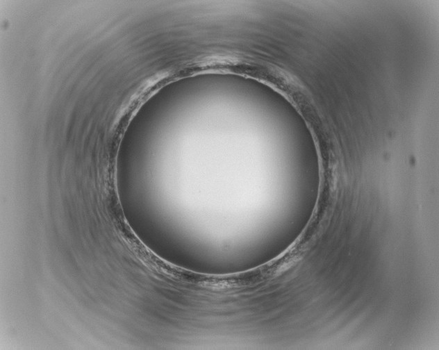 X0000052651217200507221833