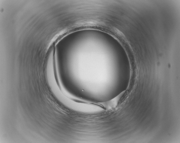 X0000052651218200507221833