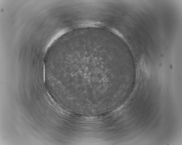 X0000052651219200507221833