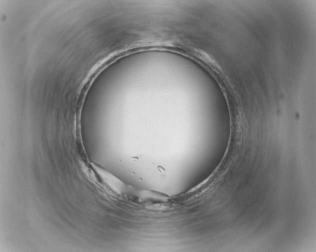 X0000052651220200507221833