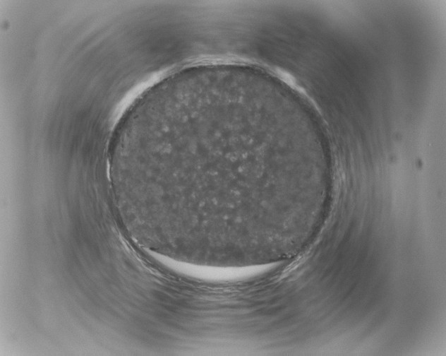 X0000052651221200507221833