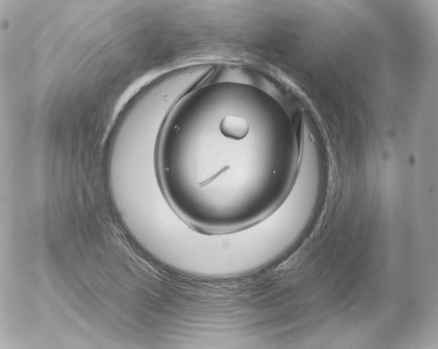 X0000052651222200507221833