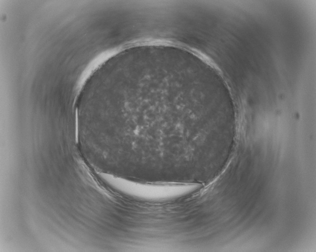 X0000052651223200507221833