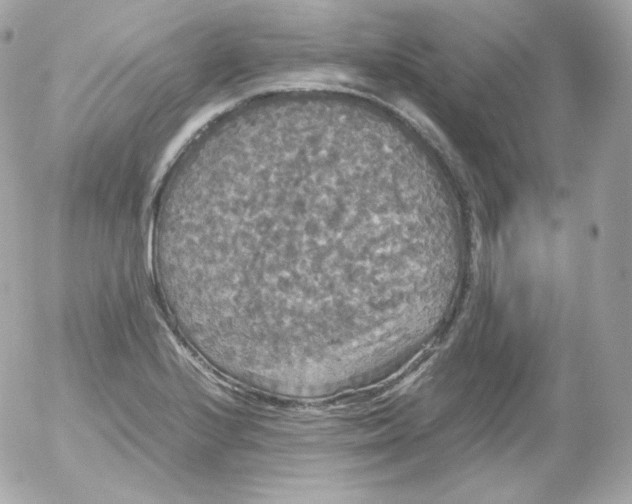 X0000052651224200507221833