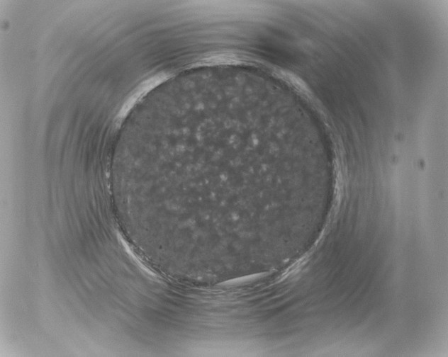 X0000052651225200507221833