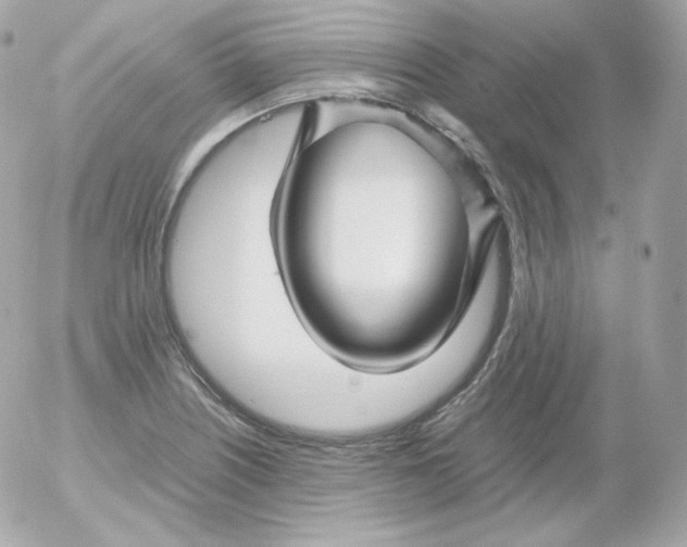 X0000052651226200507221833