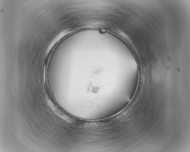 X0000052651227200507221833