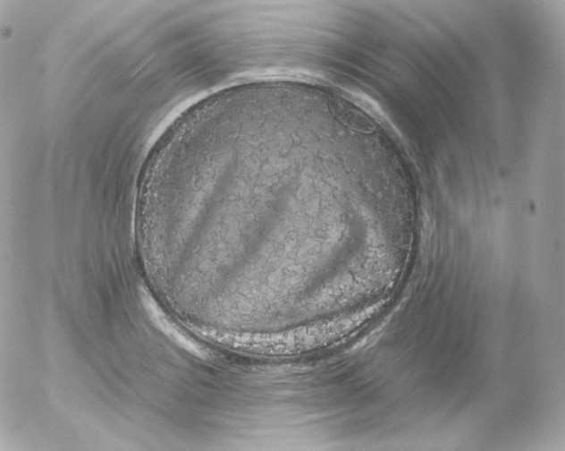 X0000052651228200507221833