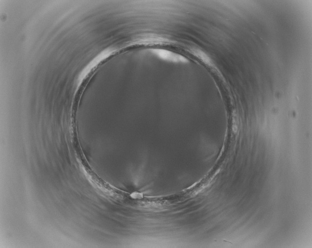 X0000052651229200507221833