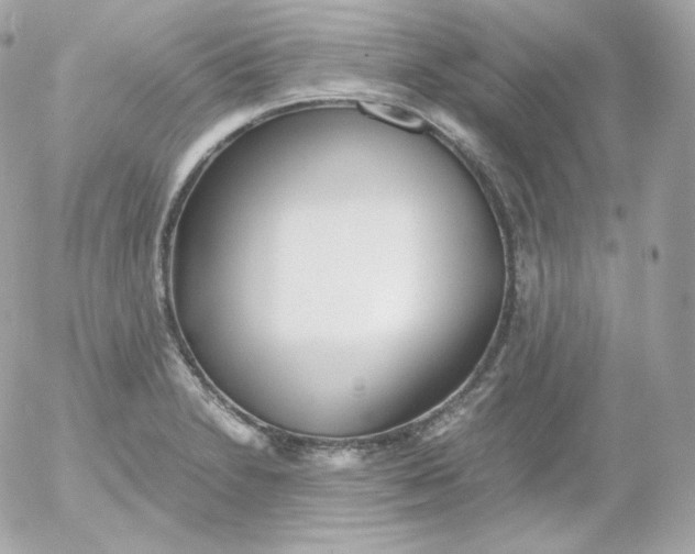 X0000052651230200507221833