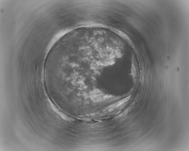 X0000052651231200507221833