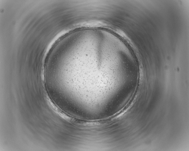 X0000052651232200507221833