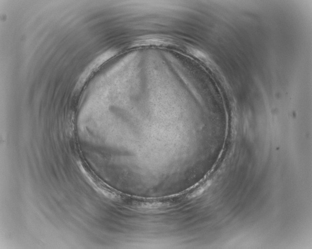 X0000052651233200507221833