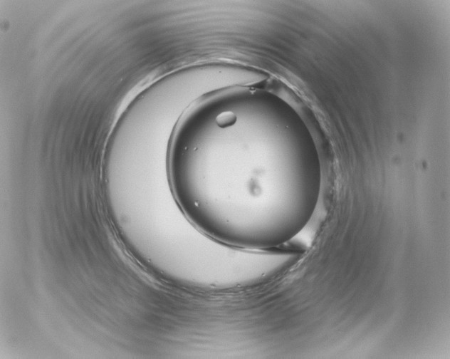 X0000052651234200507221833