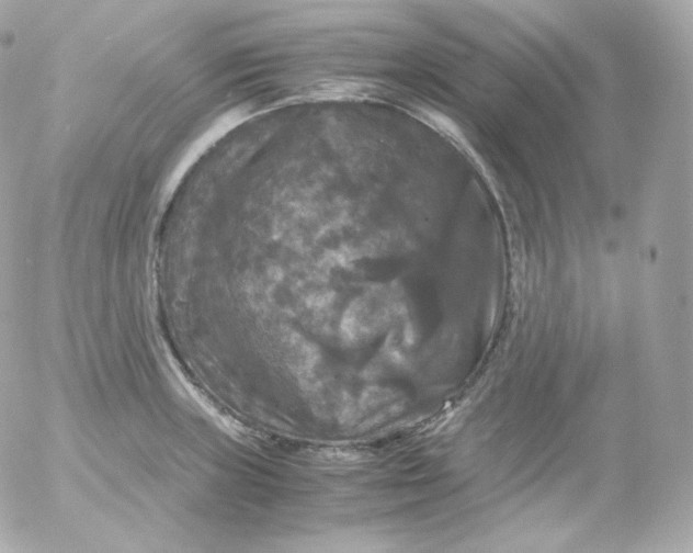 X0000052651235200507221833