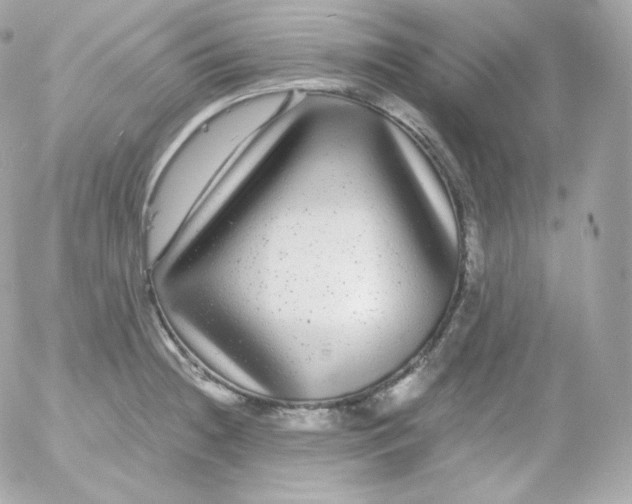 X0000052651236200507221833