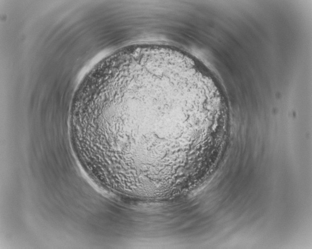 X0000052651237200507221833