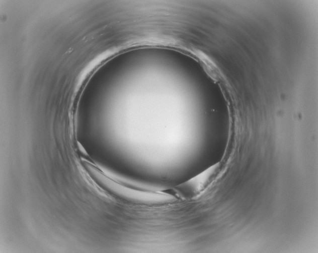 X0000052651238200507221833