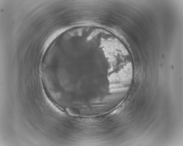 X0000052651239200507221833