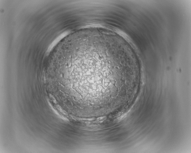 X0000052651241200507221833