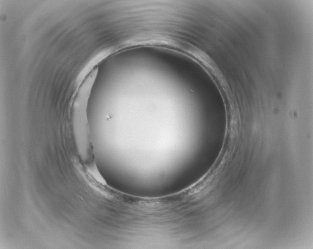 X0000052651242200507221833