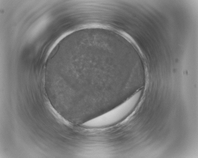 X0000052651244200507221833