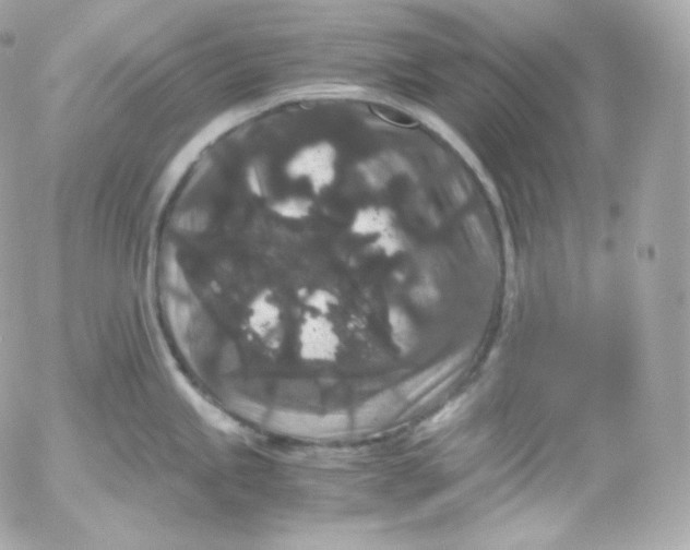 X0000052651245200507221833