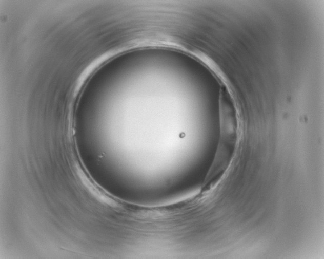 X0000052651246200507221833