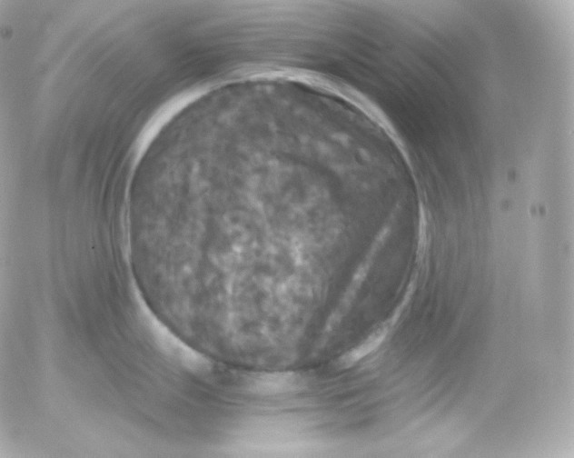 X0000052651247200507221833