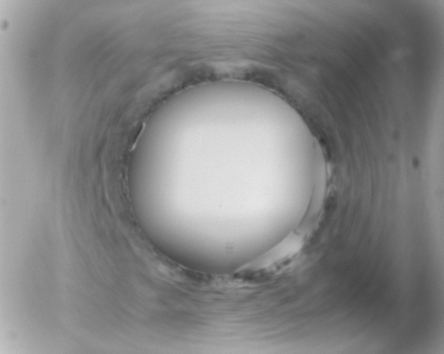 X0000052651249200507221833