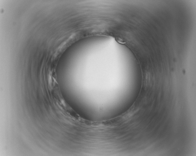 X0000052651250200507221833