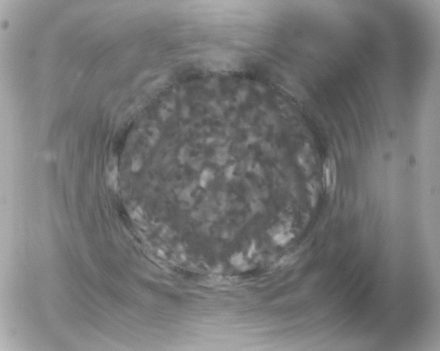 X0000052651251200507221833