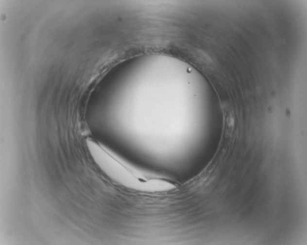 X0000052651252200507221833